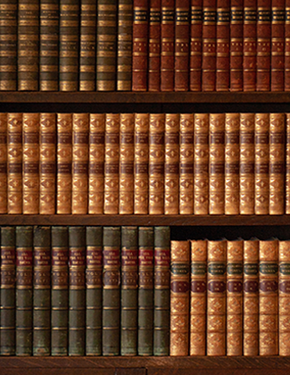 Law, Crime and Justice