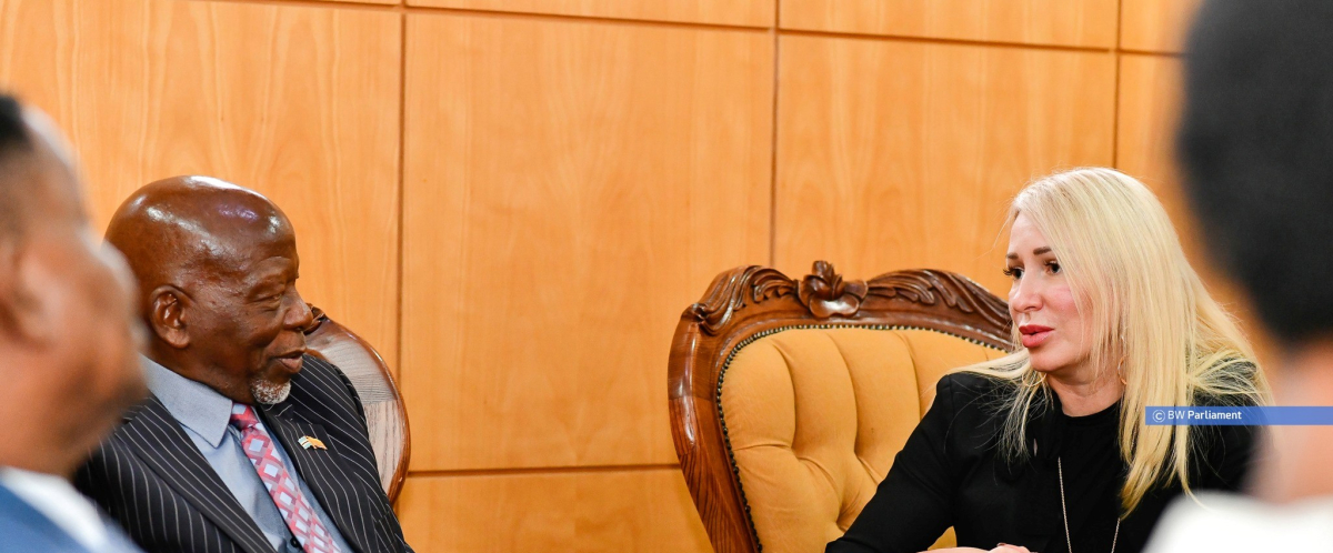 The acting speaker receives the ambassador of Ukraine to Botswana