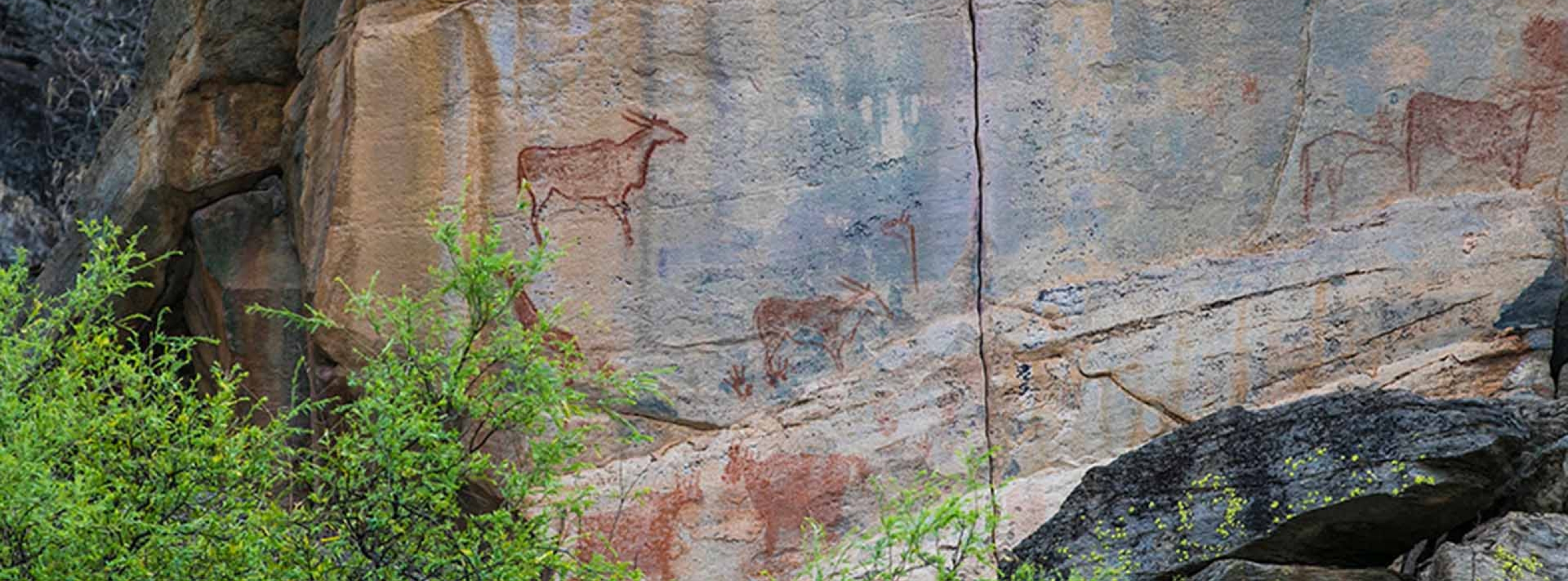 Tshodilo Hill Rock Paintings